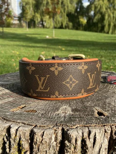 collar louis vuitton hombre|louis vuitton dog collar sizes.